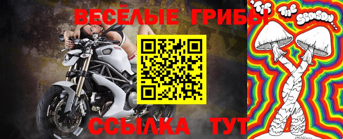 Псилоцибиновые грибы Magic Shrooms  Галлюциногенные грибы ЛСД  Вход с VPN  магазин продажи наркотиков  Жигулёвск 